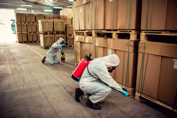 Best Insect Control  in Coon Rapids, MN