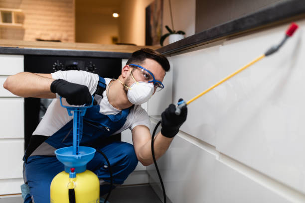  Coon Rapids, MN Pest Control Pros