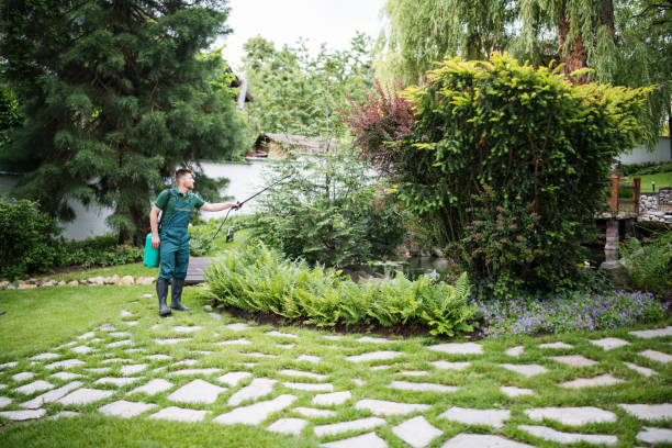 Wildlife Control Services in Coon Rapids, MN