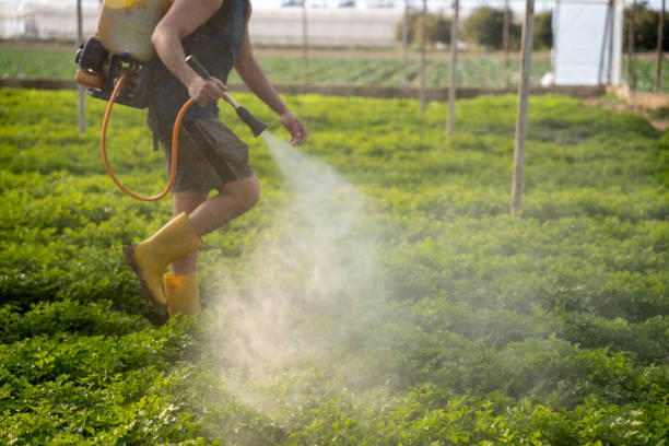 Professional Pest Control in Coon Rapids, MN