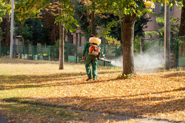 Best Best Pest Control Companies  in Coon Rapids, MN