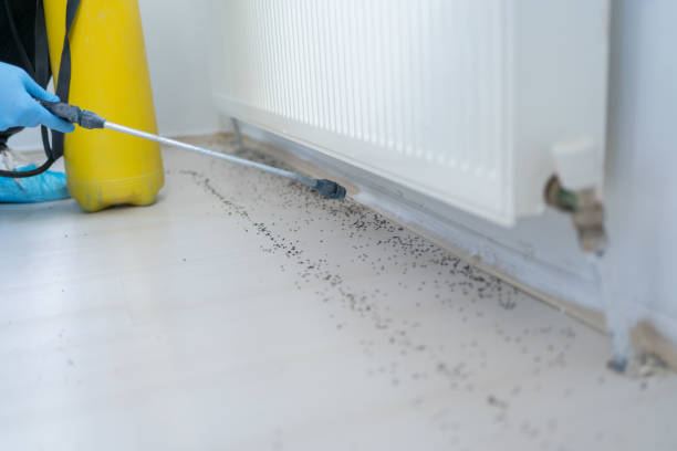 Best Pest Prevention Services  in Coon Rapids, MN