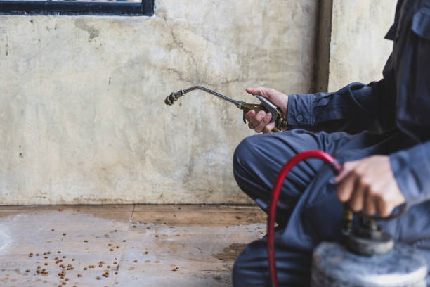 Best Termite Control Services  in Coon Rapids, MN